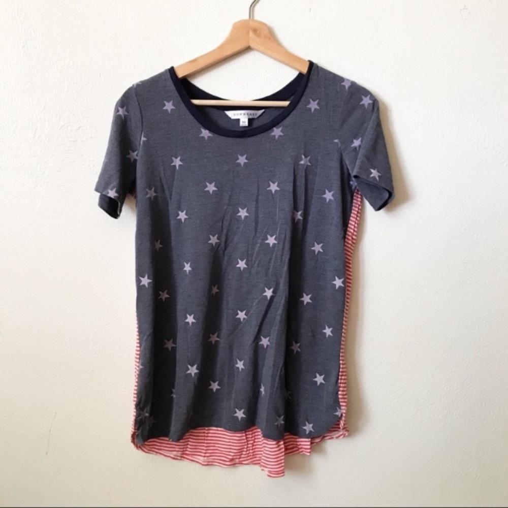 Downeast • Stars and Stripes Tee